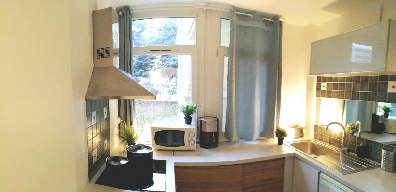 Residence Du Parc Des Tilleuls De Lyon 82 M2 Pkg Free Eksteriør billede